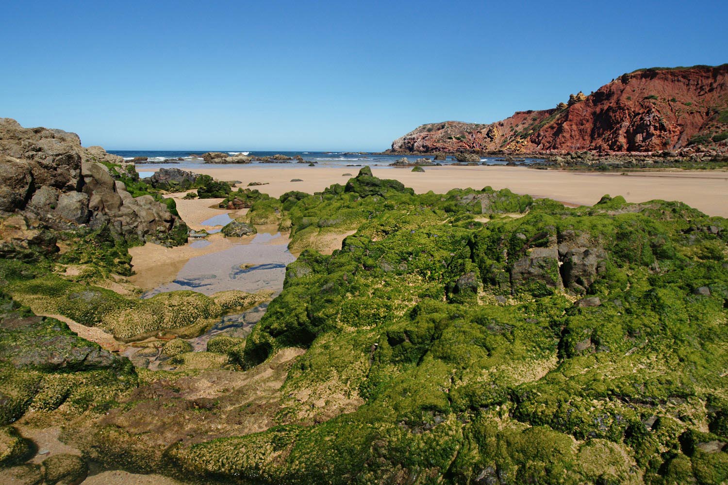 Praia-Amado-Carrapateira-Portugal