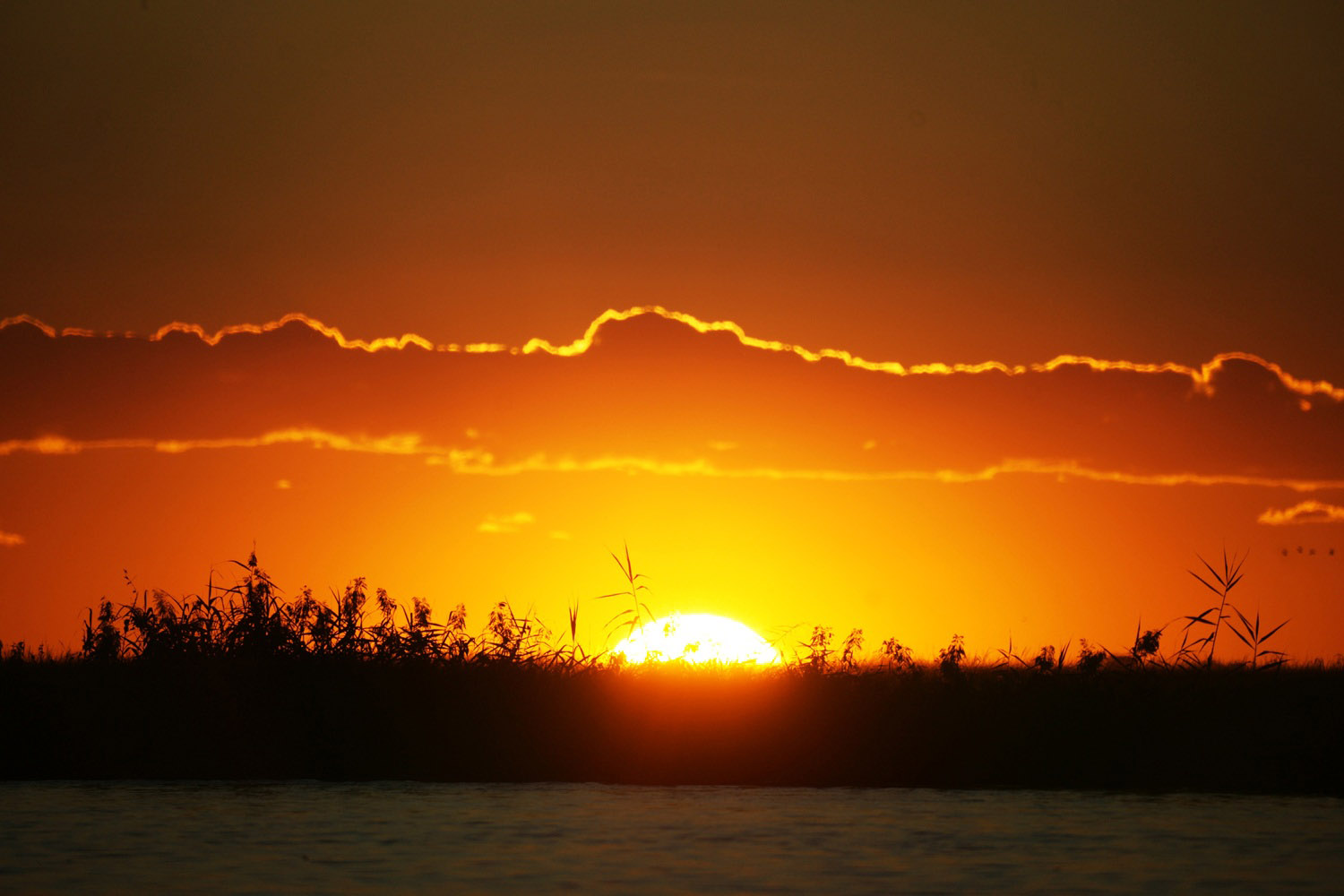 Sonnenuntergang-Chobe-Fluss-Botswana